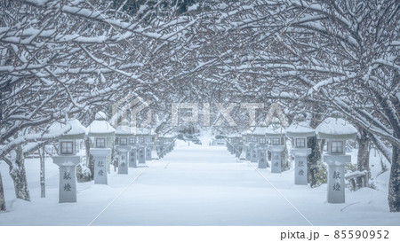 滋賀県 伊香具神社 雪景色 85590952