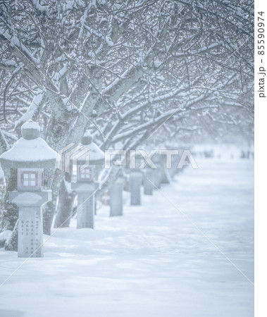 滋賀県 伊香具神社 雪景色 85590974
