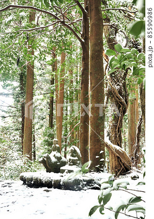 牛馬童子像の雪景色　【和歌山県田辺市中辺路町】 85590986