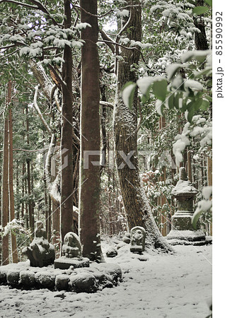 牛馬童子像の雪景色　【和歌山県田辺市中辺路町】 85590992