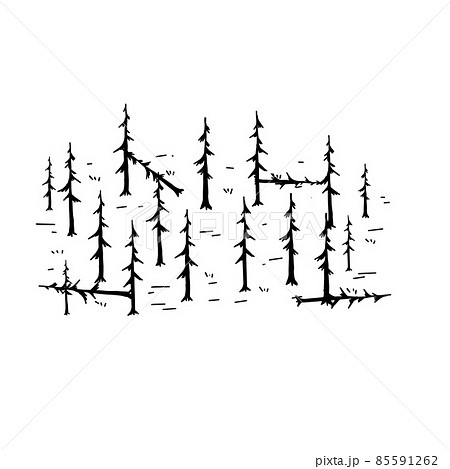 Pine forest. Silhouettes of old dead trees. Swamp area for retro maps. Pine forest. Silhouettes of old dead trees. Swamp area for retro maps. 85591262