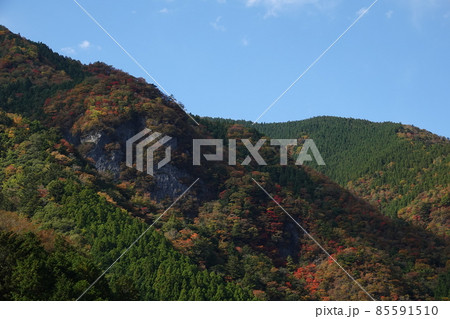 晩秋の高ノ瀬峡の山々 晩秋の高ノ瀬峡の山々 85591510