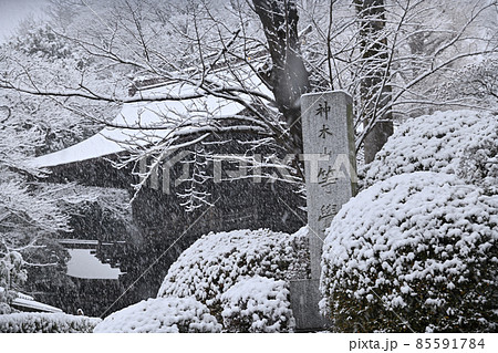 首都圏に降る雪景色 首都圏に降る雪景色 85591784