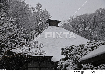 首都圏に降る雪景色 首都圏に降る雪景色 85591956