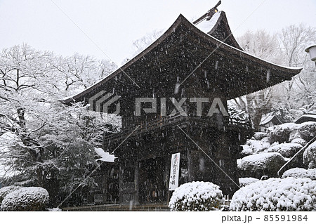 首都圏に降る雪景色 首都圏に降る雪景色 85591984