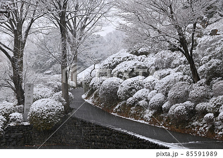 首都圏に降る雪景色 首都圏に降る雪景色 85591989