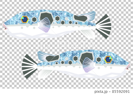 Fugu seen from the side of two animals Fugu seen from the side of two animals 85592091