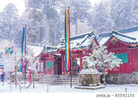 （神奈川県）箱根神社　雪中の初詣 85592155