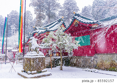 （神奈川県）箱根神社　雪中の初詣 85592157