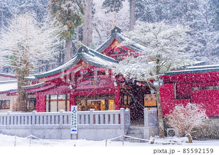 （神奈川県）箱根神社　雪中の初詣 85592159