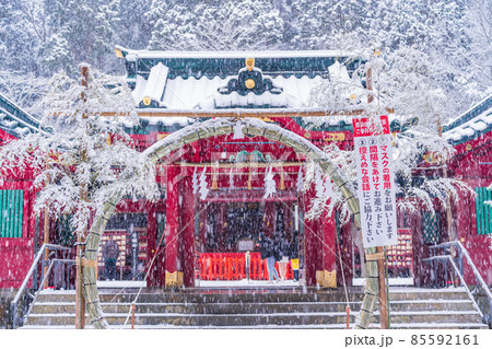 （神奈川県）箱根神社　雪中の初詣 85592161