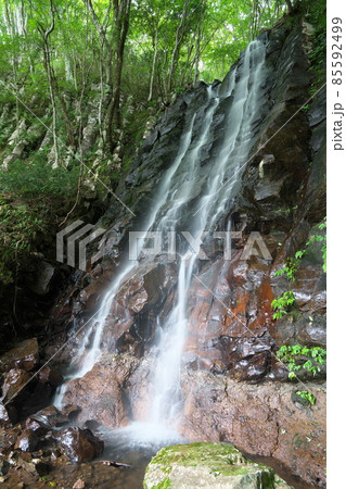 布滝の近くにある大滝の真夏の風景4　岡山県津山市 85592499