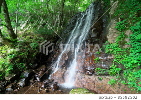 布滝の近くにある大滝の真夏の風景3　岡山県津山市 85592502