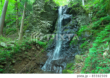 布滝の近くにある白髪滝の真夏の風景4　岡山県津山市 85592509