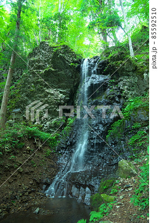 布滝の近くにある白髪滝の真夏の風景3　岡山県津山市 85592510