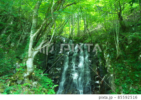 布滝の近くにある大滝の真夏の風景10　岡山県津山市 85592516