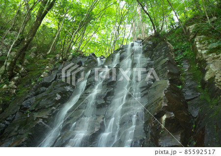 布滝の近くにある大滝の真夏の風景9　岡山県津山市 85592517