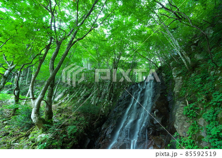 布滝の近くにある大滝の真夏の風景7　岡山県津山市 85592519