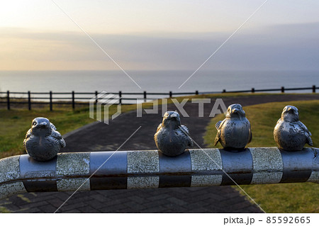 飯岡刑部岬展望台 風景 飯岡刑部岬展望台 風景 85592665