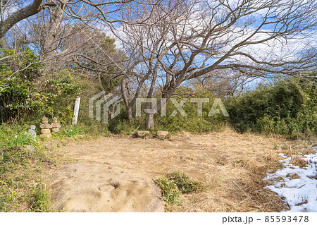 衣張山の山頂（鎌倉） 85593478