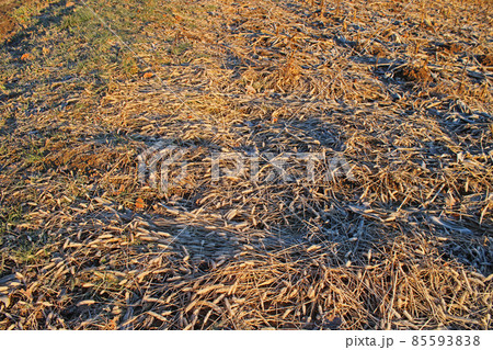 Winter mornings, the sky over the frozen countryside near Zagreb, Croatia Winter mornings, the sky over the frozen countryside near Zagreb, Croatia 85593838