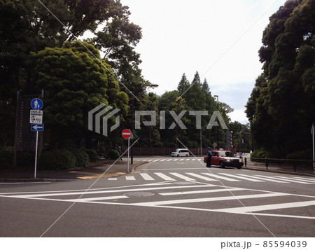 神宮外苑の道路風景。取締中の警官。電柱のない道。 85594039