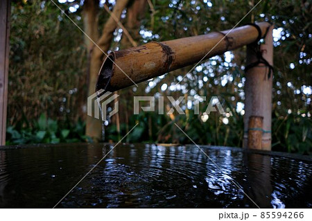 ししおどし ししおどし 85594266