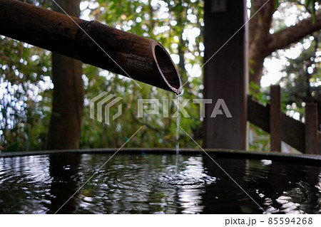 ししおどし 85594268