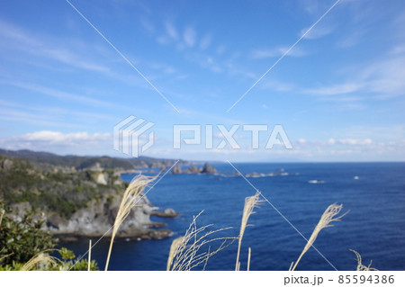 伊豆の石廊崎から見た海の風景 伊豆の石廊崎から見た海の風景 85594386