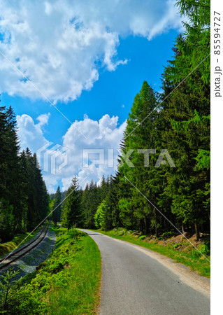 Beautiful railway passing through the green forest. Beautiful railway passing through the green forest. 85594727