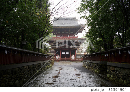 雨の薦神社（大貞八幡薦神社）大分県中津市 85594904