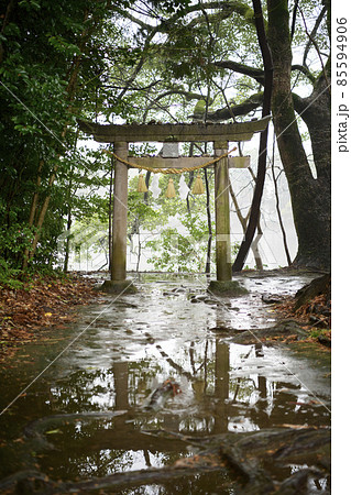 雨の薦神社鳥居（大貞八幡薦神社）大分県中津市 85594906