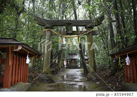 雨の薦神社鳥居（大貞八幡薦神社）大分県中津市 85594907