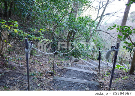西伊豆の室岩洞に続く歩道 85594967
