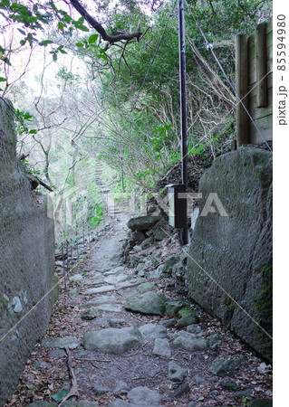 西伊豆の採石場跡の室岩洞 85594980