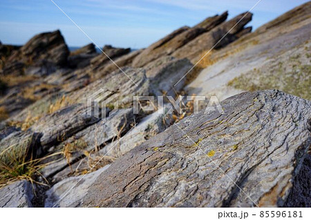 自殺の名所 85596181