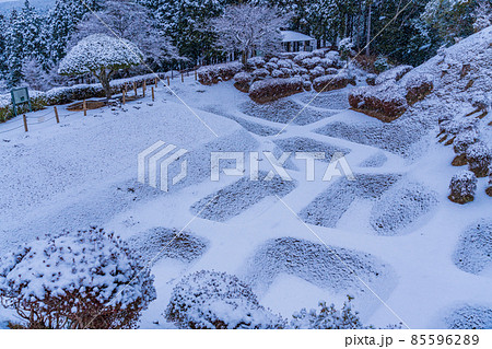 【静岡県三島市】降雪した山中城址公園　障子堀 85596289
