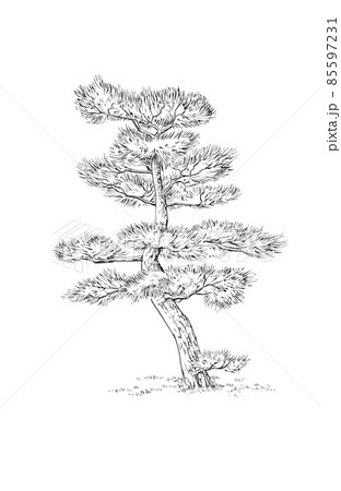 イラスト（ペン画 514f81a5-7f42-448f-aacb-