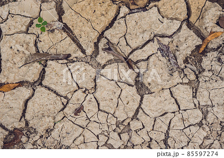dry cracked earth. The desert. Background. It's hot, the global shortage of water on the planet dry cracked earth. The desert. Background. It's hot, the global shortage of water on the planet 85597274