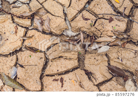 dry cracked earth. The desert. Background. It's hot, the global shortage of water on the planet dry cracked earth. The desert. Background. It's hot, the global shortage of water on the planet 85597276