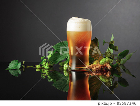 Beer, hops, and barley on a black background. 85597346