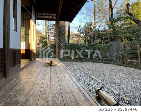 国分寺お鷹の道散策 85597446