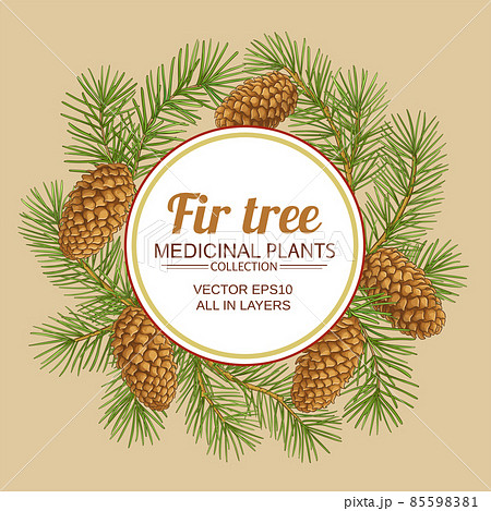 fir tree vector frame on color background 85598381
