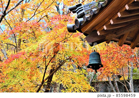 赤や黄色の紅葉を背景にお寺の立派な瓦屋根の角に垂れ下がった鉦の風鈴、晩秋の美しい風情のある風景 赤や黄色の紅葉を背景にお寺の立派な瓦屋根の角に垂れ下がった鉦の風鈴、晩秋の美しい風情のある風景 85598459