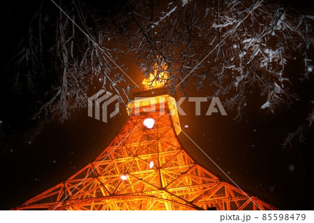 牡丹雪の舞う東京タワー 85598479