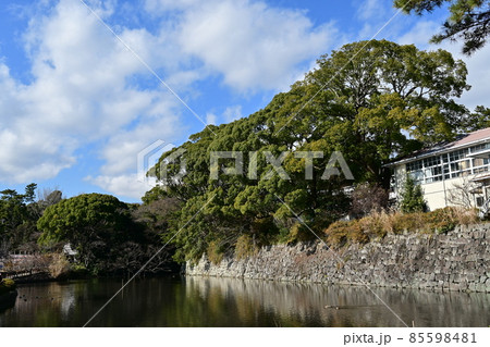 小田原城の曲輪の堀(御茶壺曲輪) 小田原城の曲輪の堀(御茶壺曲輪) 85598481