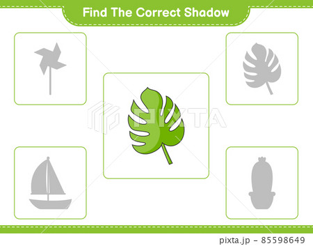 Find the correct shadow. Find and match the correct shadow of Monstera. Educational children game, printable worksheet, vector illustration 85598649