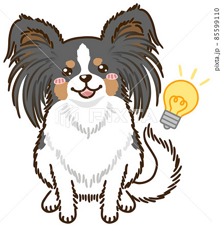 思い付くパピヨン トライカラー のイラスト素材