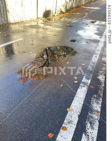 雨上がりと紅葉 85599574