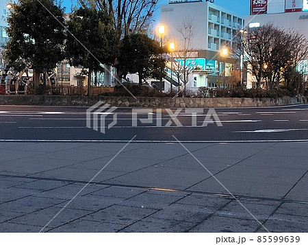 日本の夜景。ビルの谷間に木々が見える 85599639